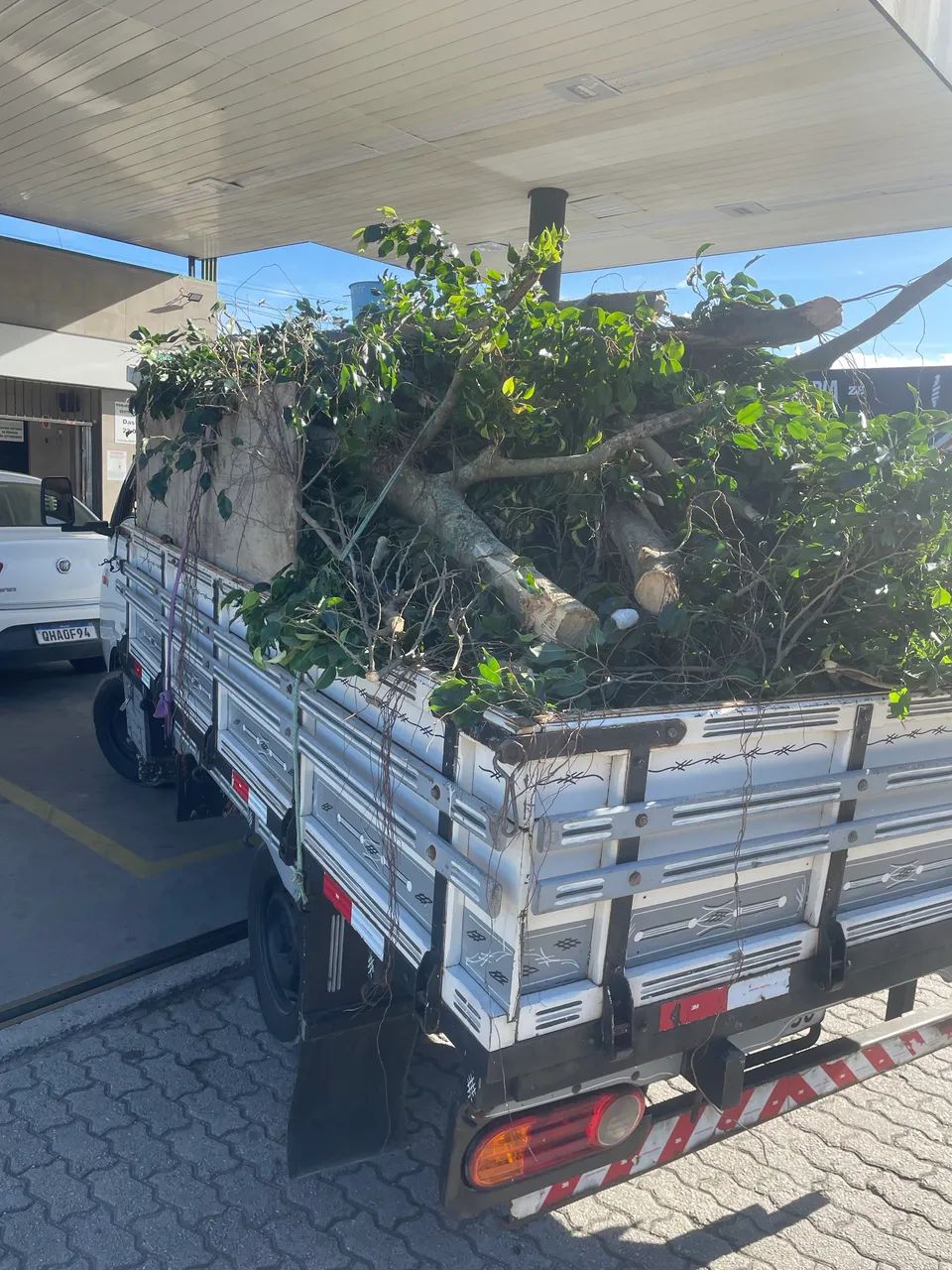 Poda de arvores,retirada de entulho serviços de roçadeira  - Foto 5
