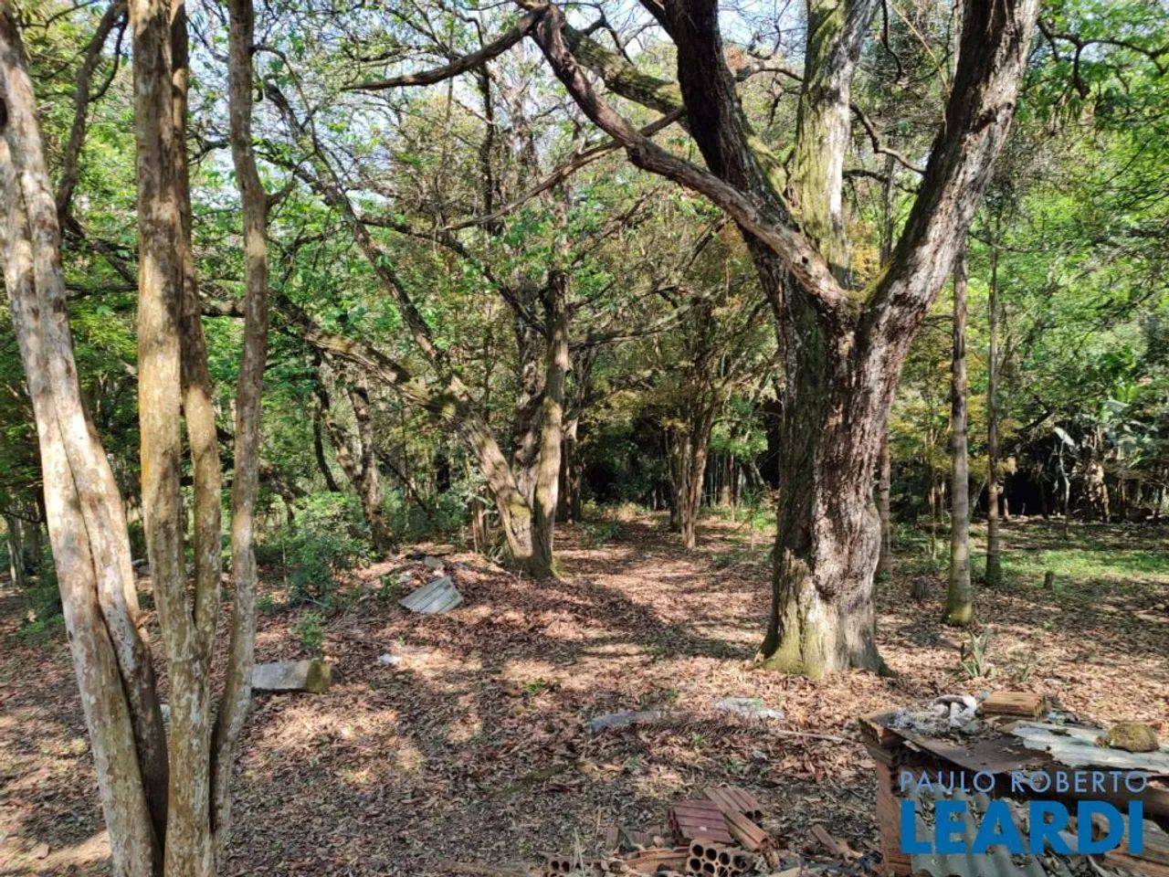 TERRENO - BIANUCCI - MG - Foto 4
