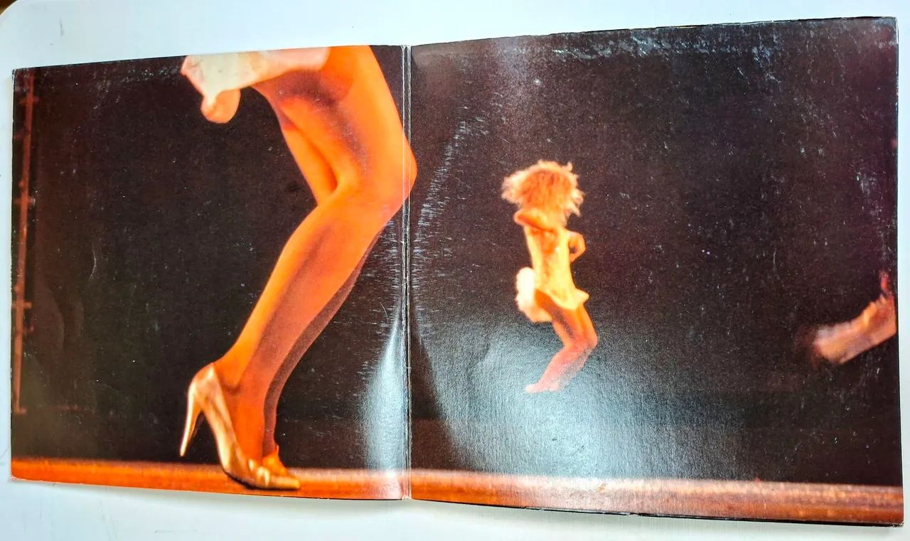 Elba Ramalho ao Vivo, 1989, Philips - Foto 2