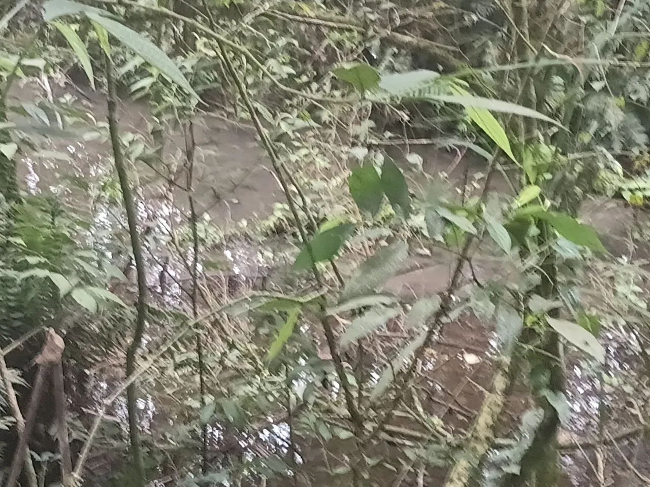 VENDO LINDO TERRENO /P/ chácara  - Foto 2