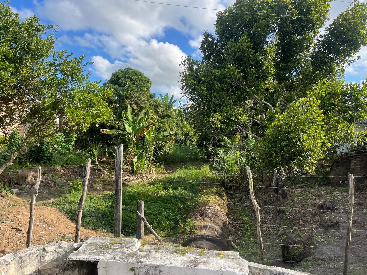 Terreno e casas em BOCA DA MATA - Foto 4