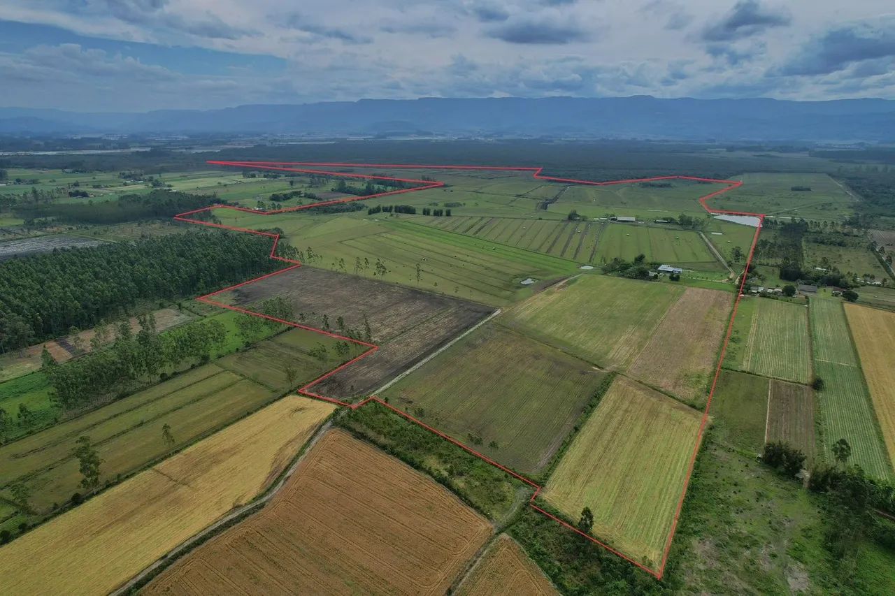 FAZENDA À VENDA - 193 HECTARES  - Foto 4