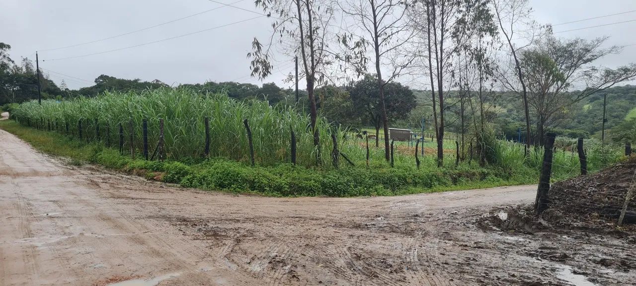Sitio com. 20 hectares - Foto 4