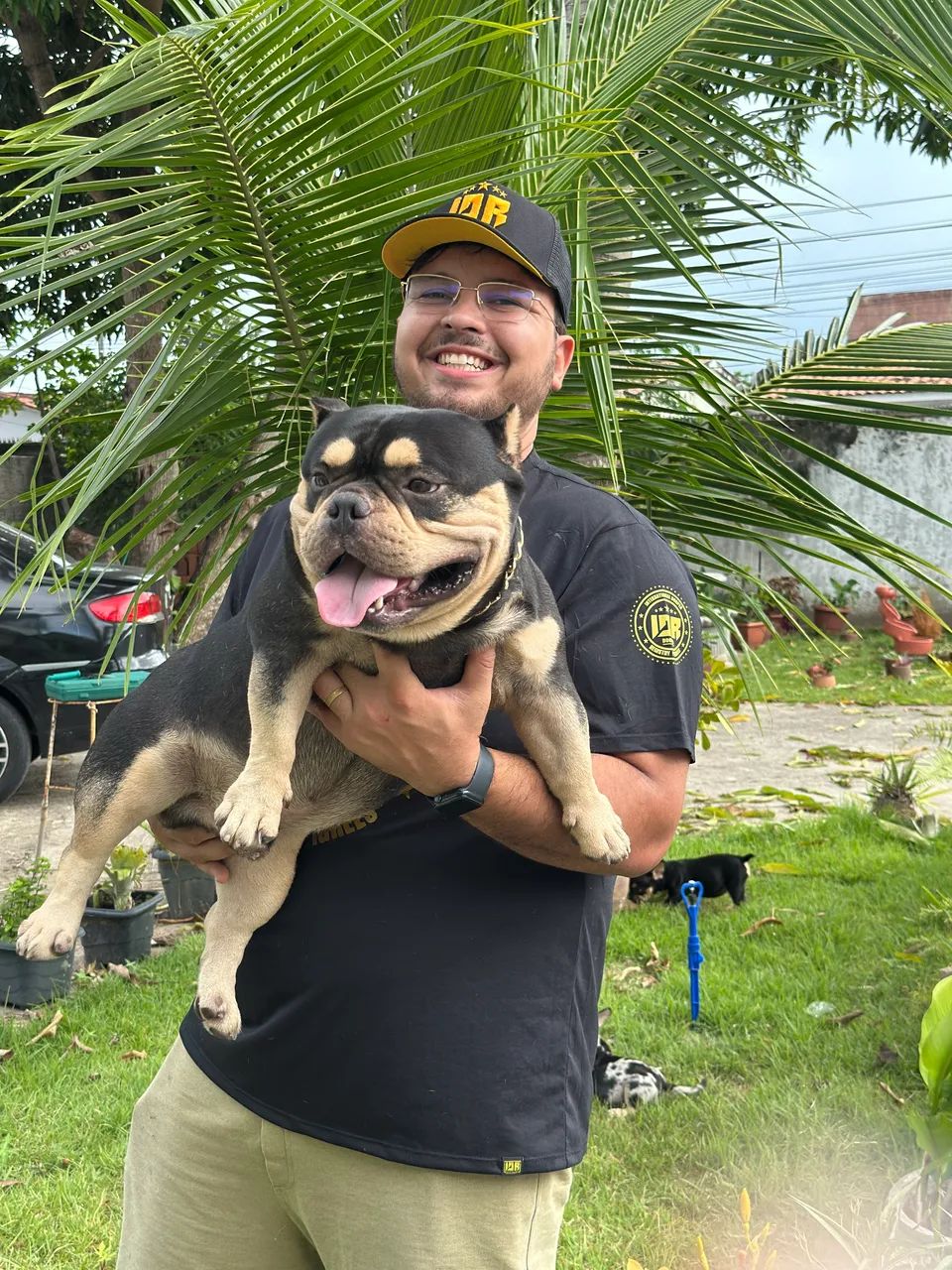 Padreador Exotic  Bully Micro a Venda - Foto 3