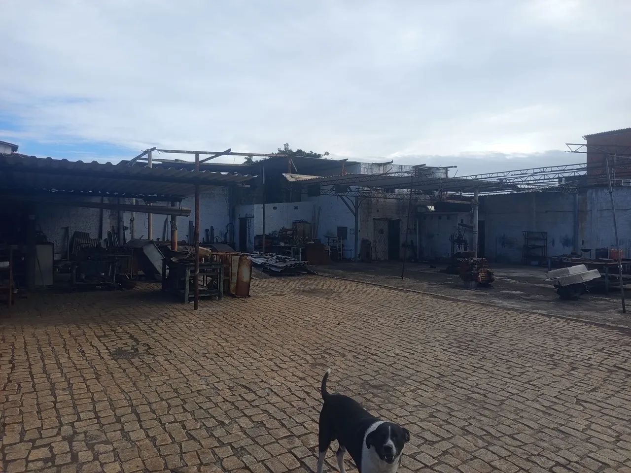 Galpão industrial  - Foto 4