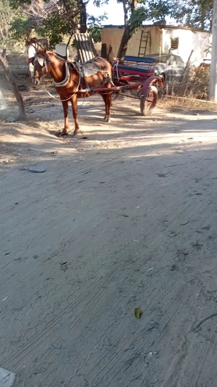Charrete vermelha Em perfeito estado - Foto 4