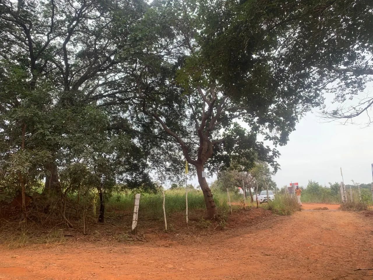 Lotes de 1000m² são Vicente baldin - Foto 5