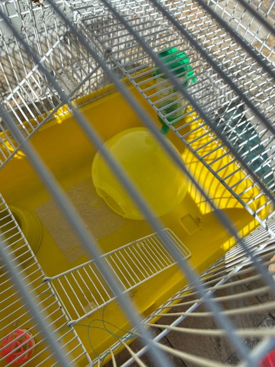 Gaiola Hamster - Foto 5