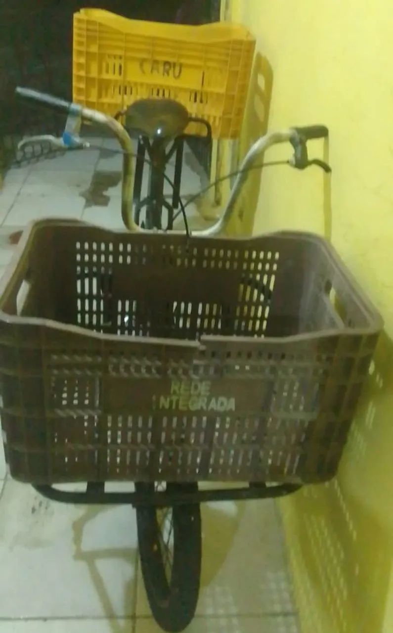Bicicleta Cargueira