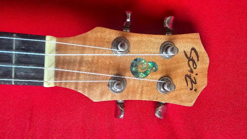 Ukulele Seizi concert - Foto 3