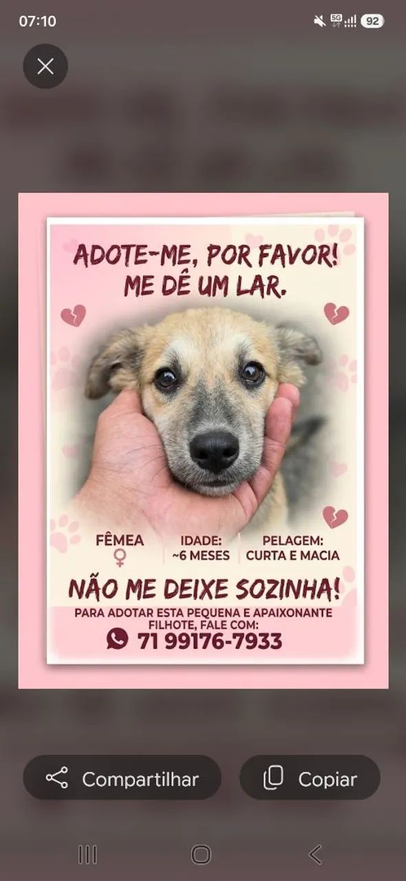 Adoção Responsável  - Foto 2