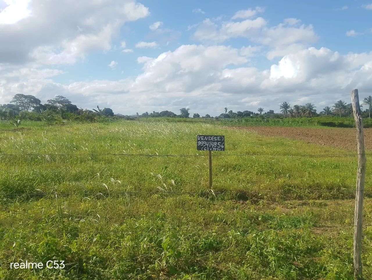 Meia tarefa de terra em são domingos  - Foto 2