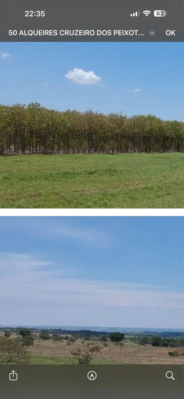 Fazenda em Uberlândia com altitude pra café  - Foto 2