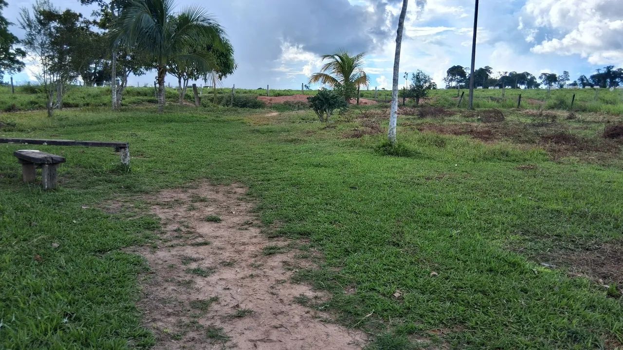 Não tem  - Foto 2