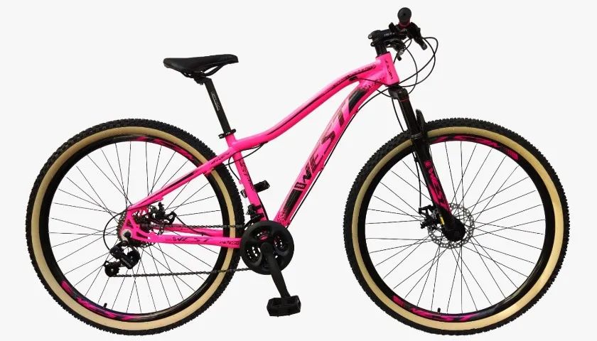 Bicicleta aro 29