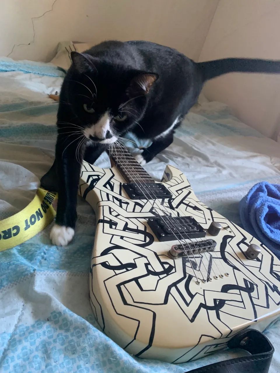 ESP LTD CUSTOM - Foto 4