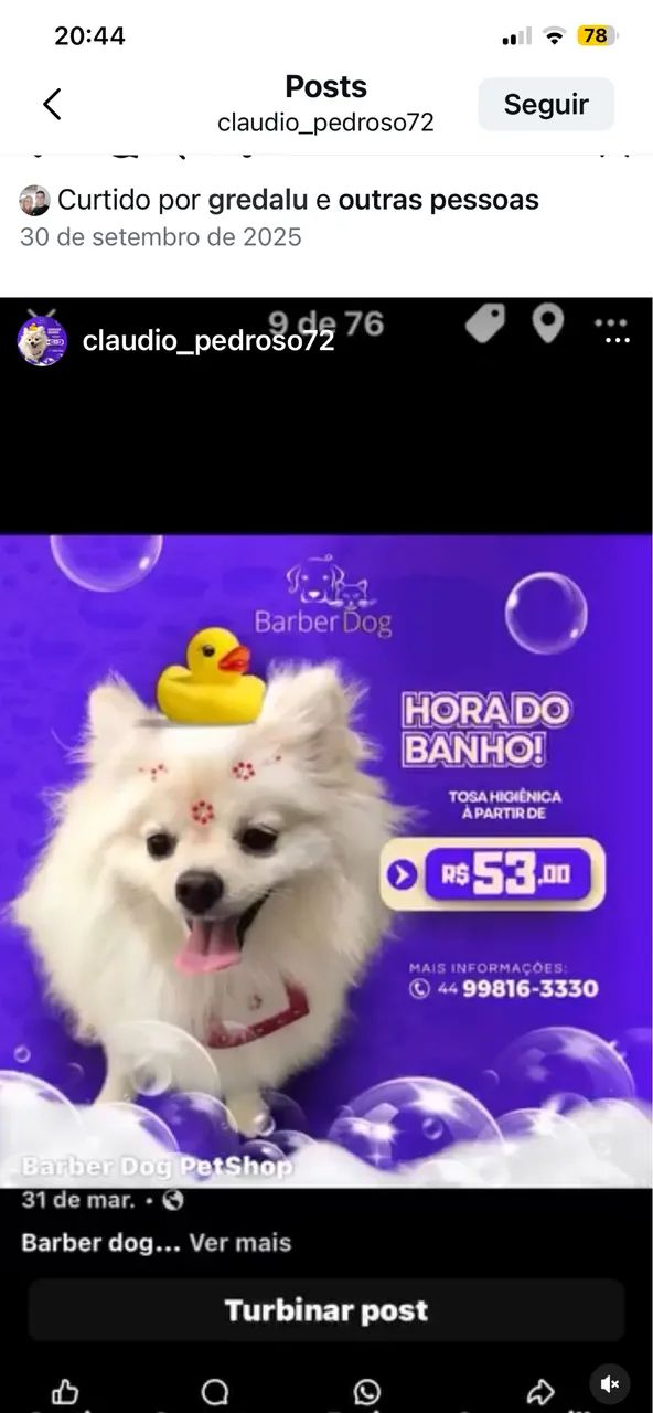Barber dog - Foto 4