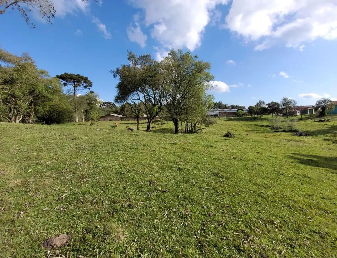 CAXIAS DO SUL - Terreno Padrão - ANA RECH - Foto 2