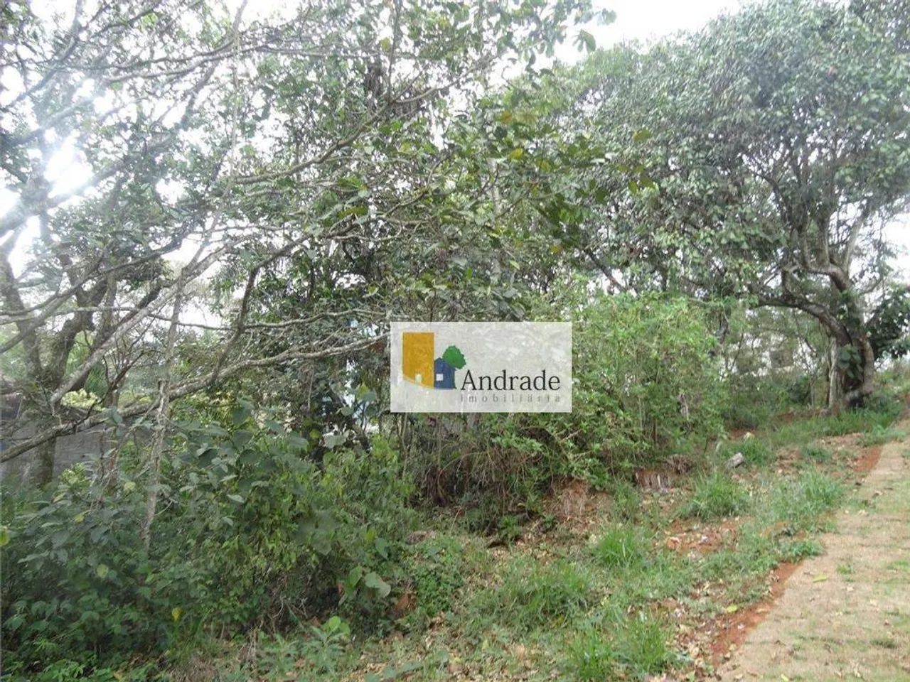 Terreno à venda, 1000 m² por R$ 700.000 - Granja Viana -Parque das Artes - Embu das Artes/ - Foto 3