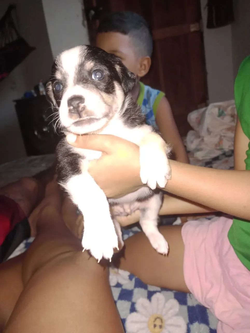 Doação  - Foto 2