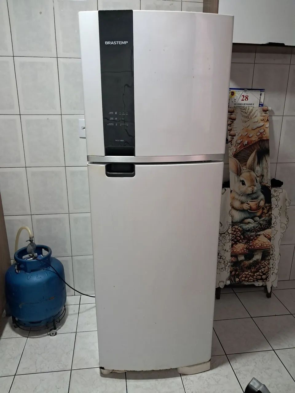Gwladeira - Foto 2