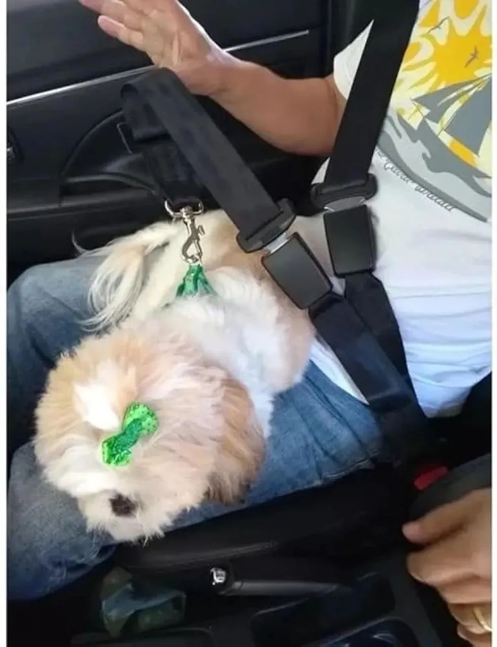 Adaptador Cinto Segurança duplo para pets - Foto 4