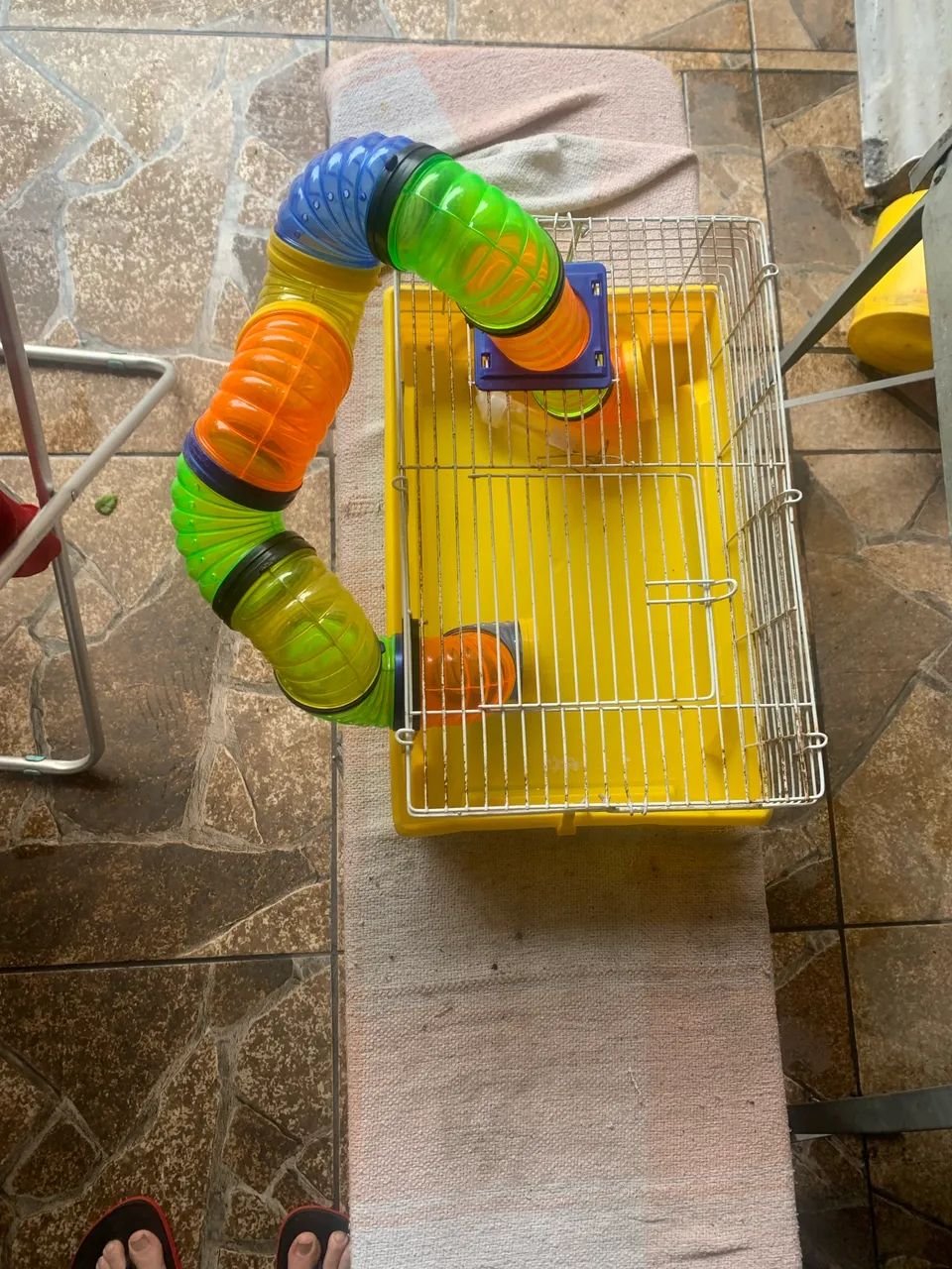 Gaiola de Hamster - Foto 5