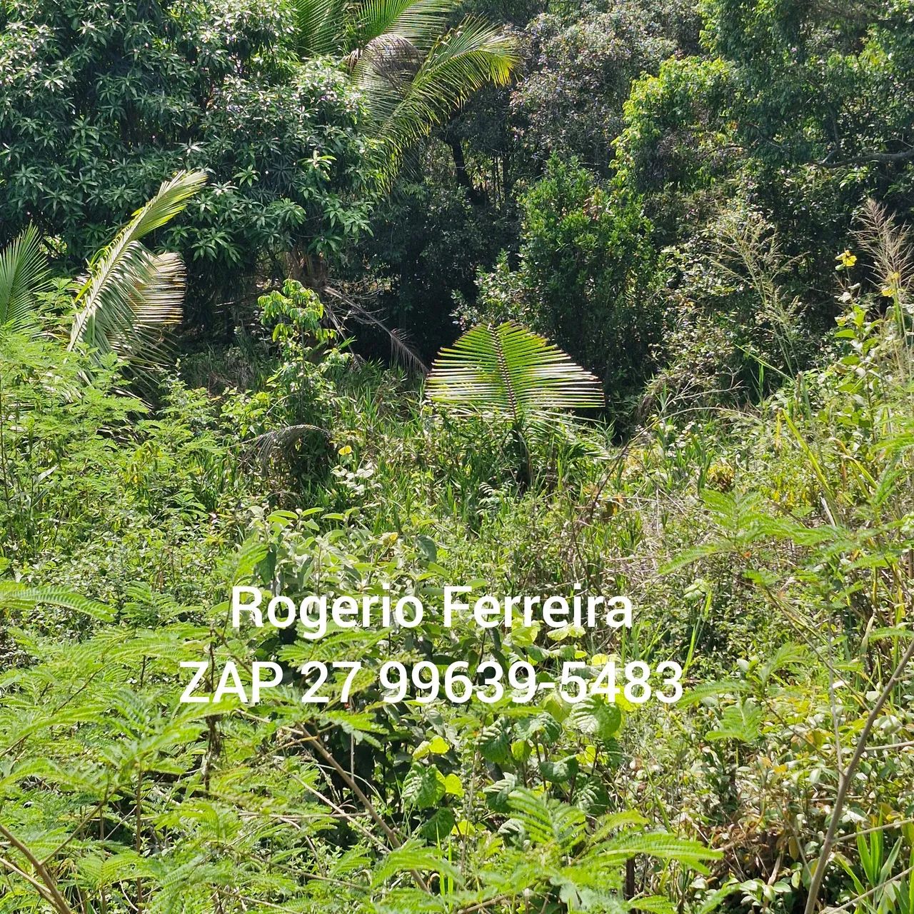 Excelente Chácara Retiro Congo Fundos para o brejo! - Foto 4
