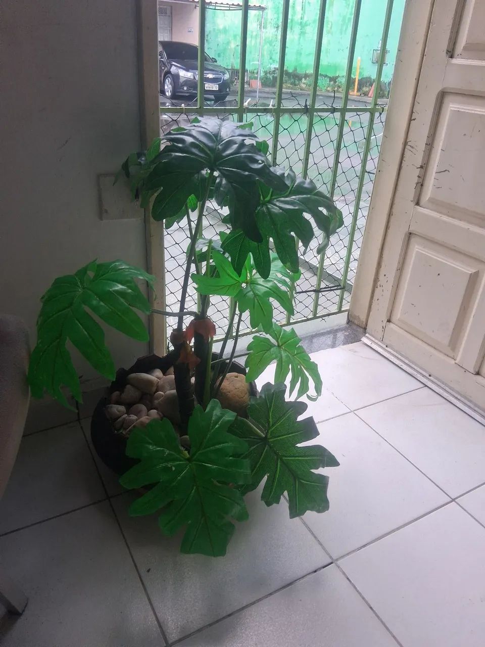 Planta e vaso ornamental - Foto 2
