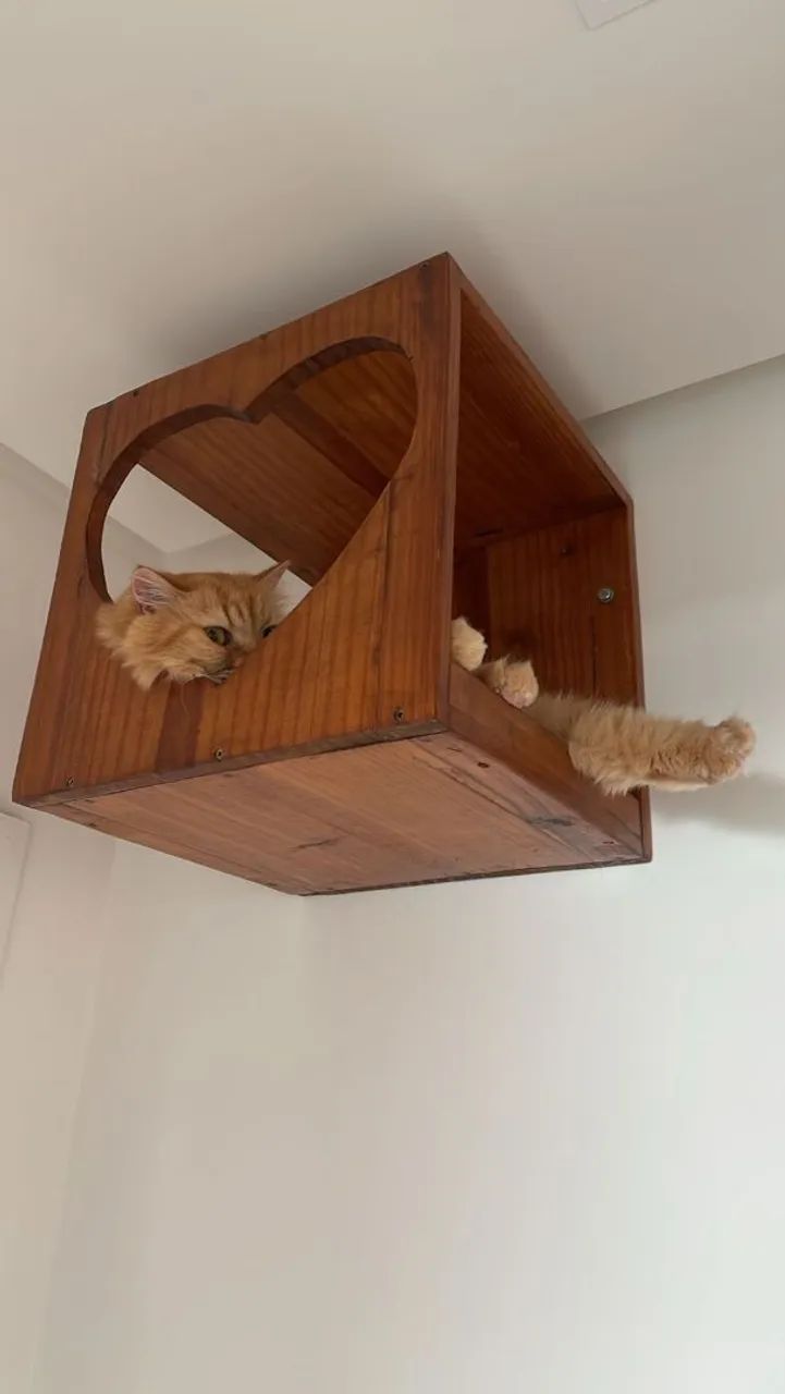 playground para gatos - Foto 2