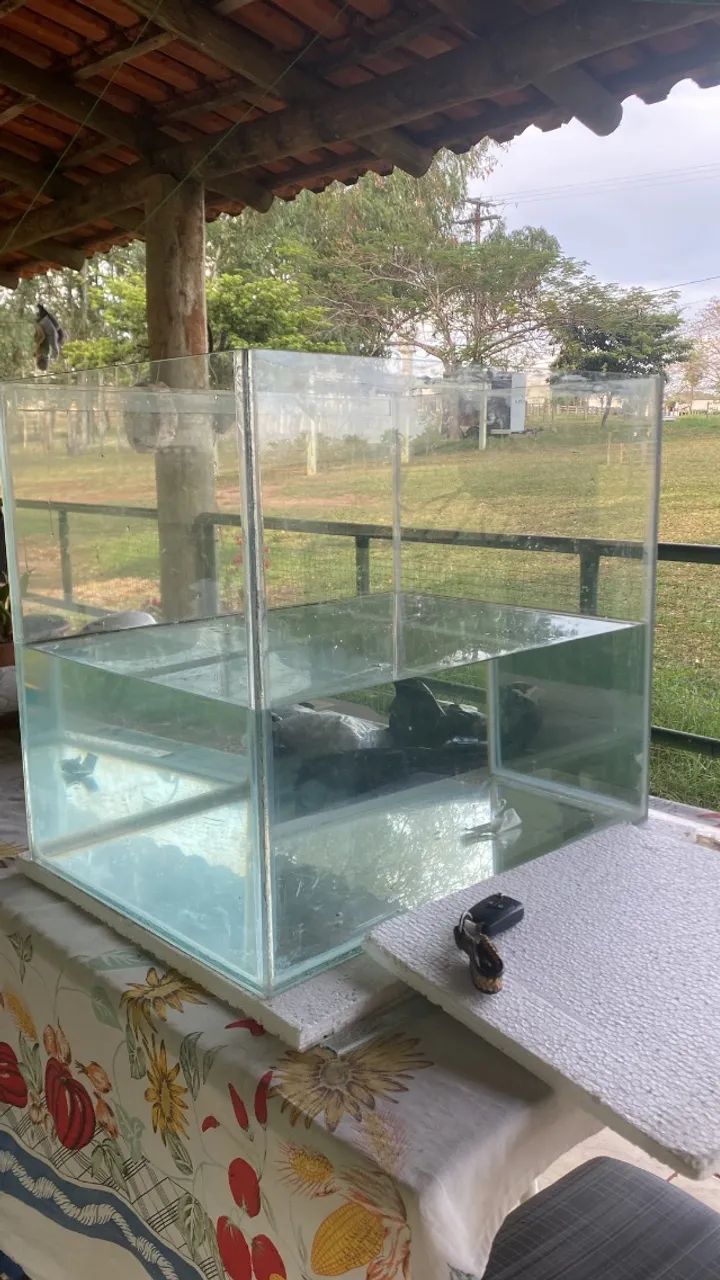 Aquário  - Foto 2