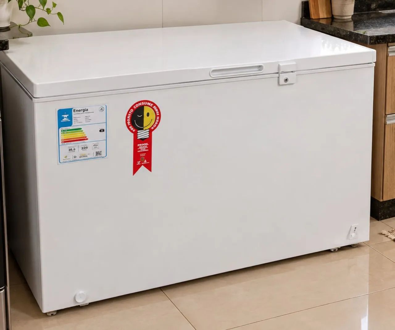 Frezer 1 porta 299lts - Foto 2