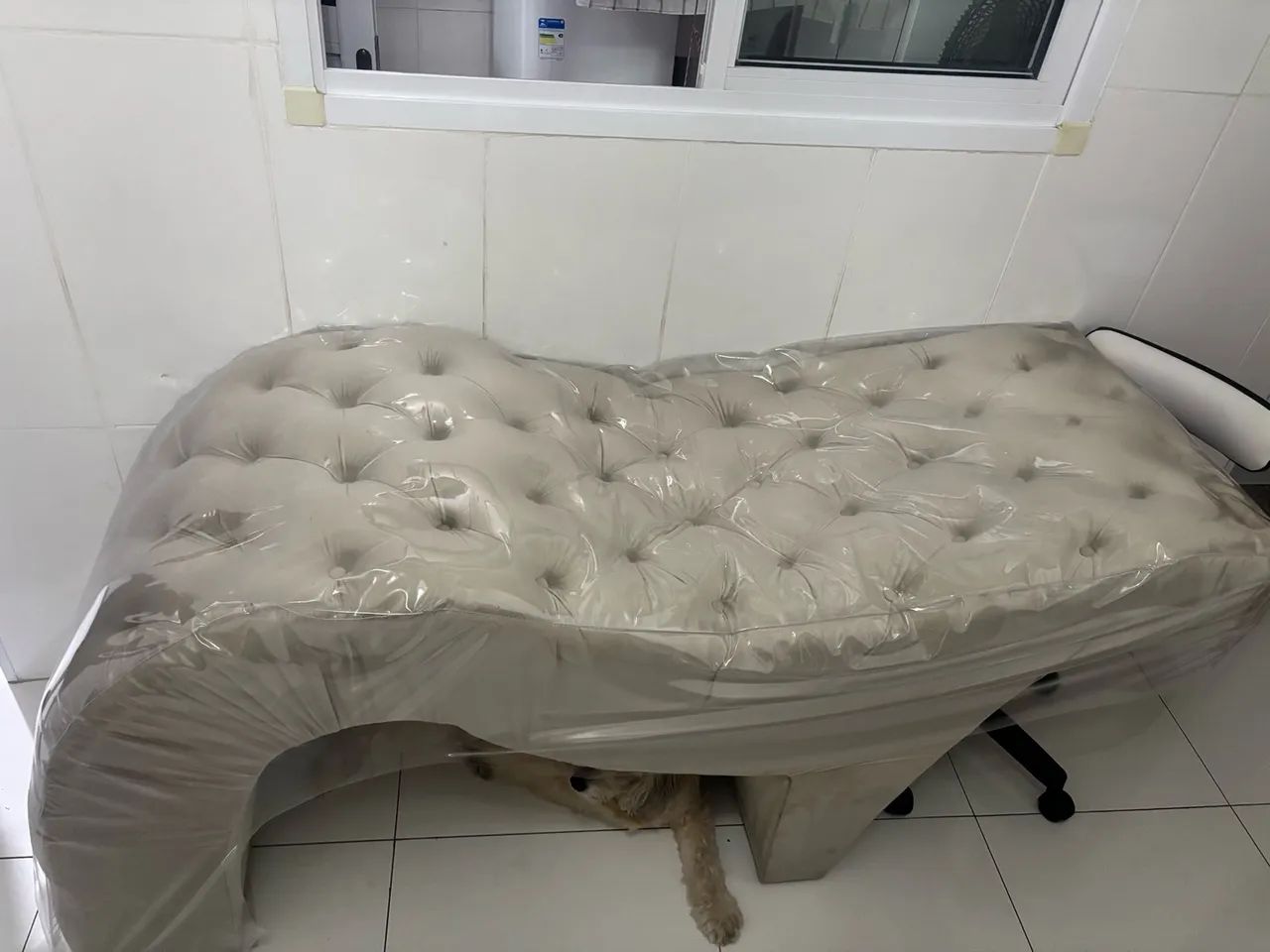 Maca Capitonê  - Foto 2