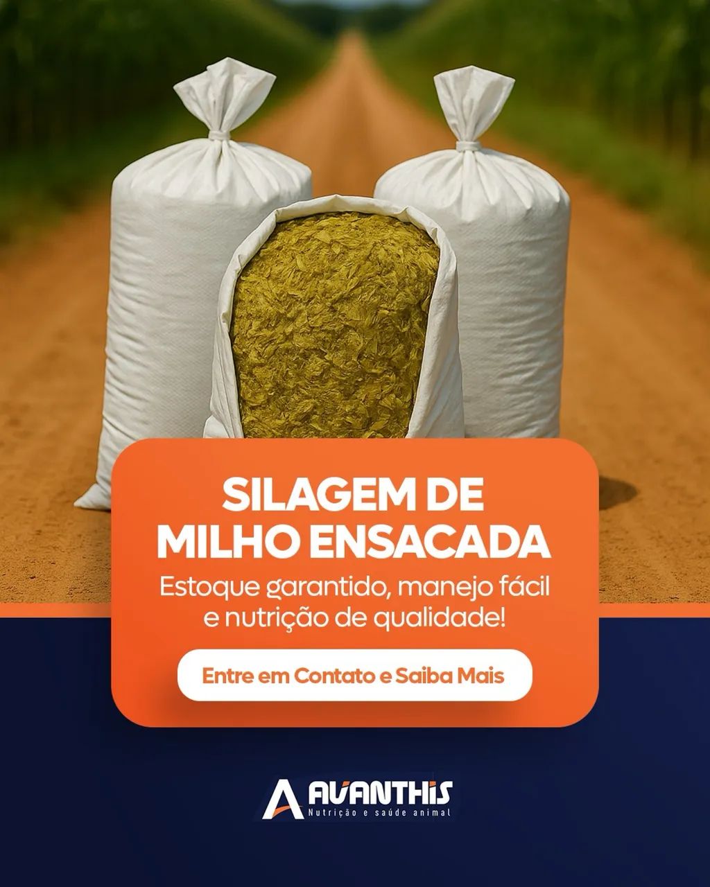 Silagem de Milho Ensacada