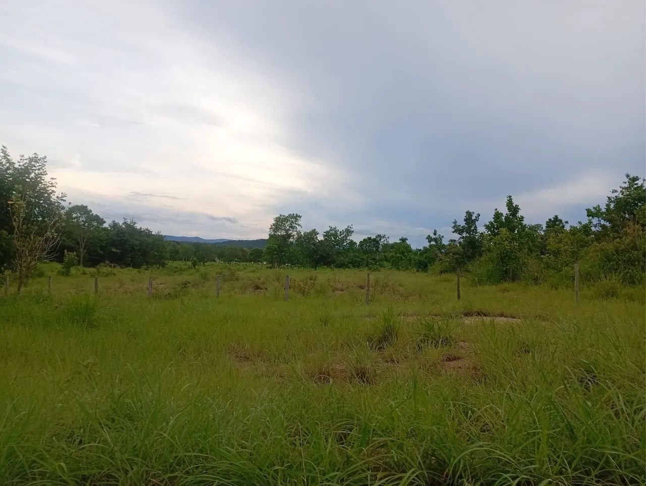 Fazenda em Faina-go - Foto 2