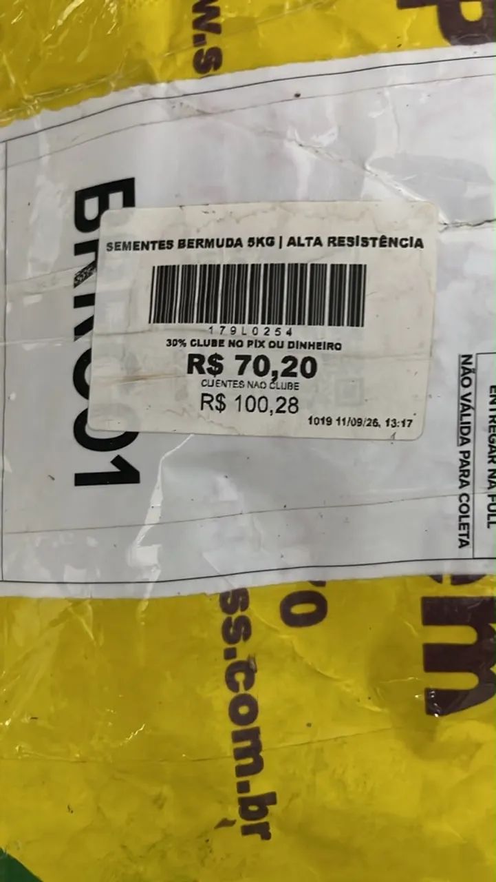 Sementes de pasto e gramas metade do preço  - Foto 2