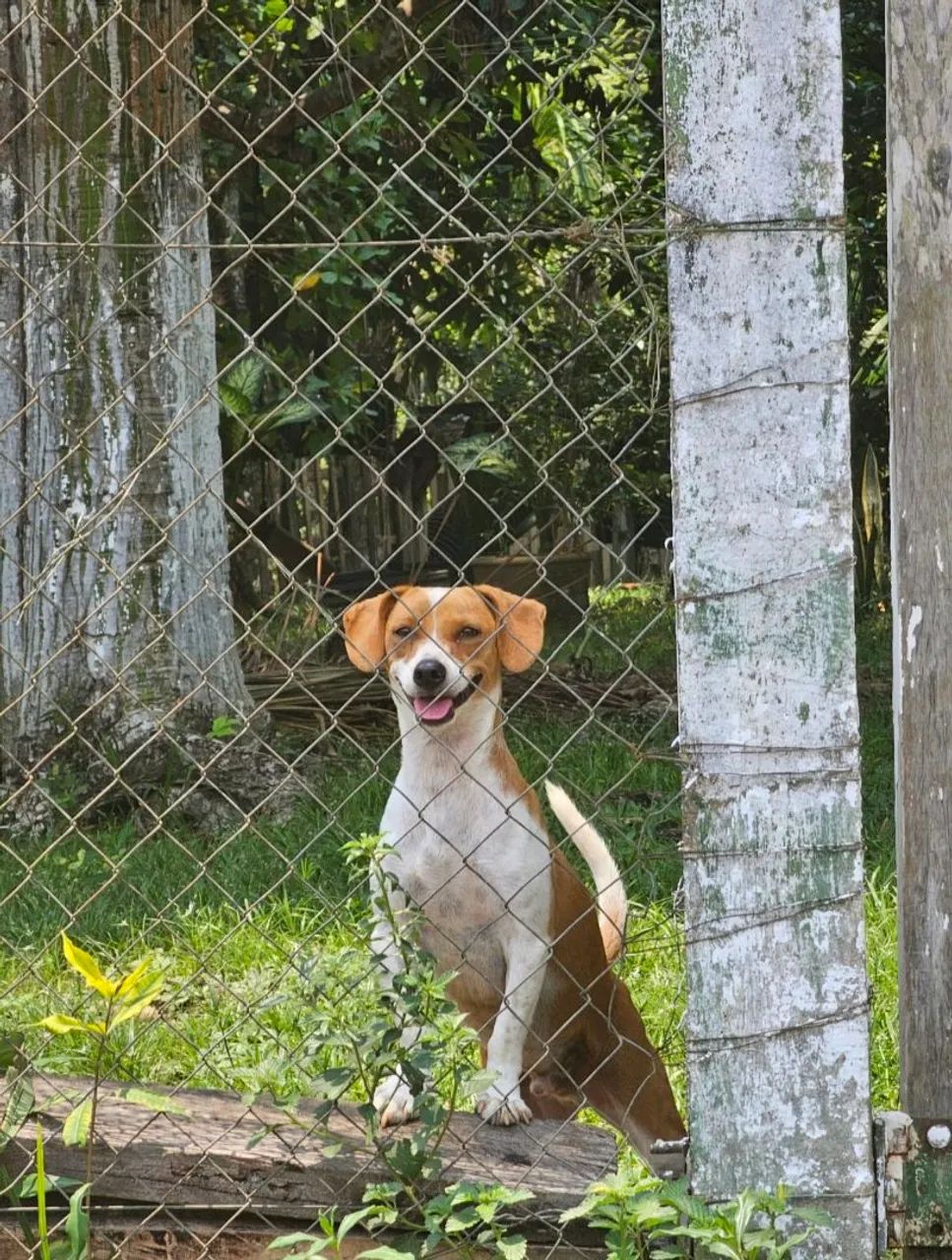 Doação  - Foto 2