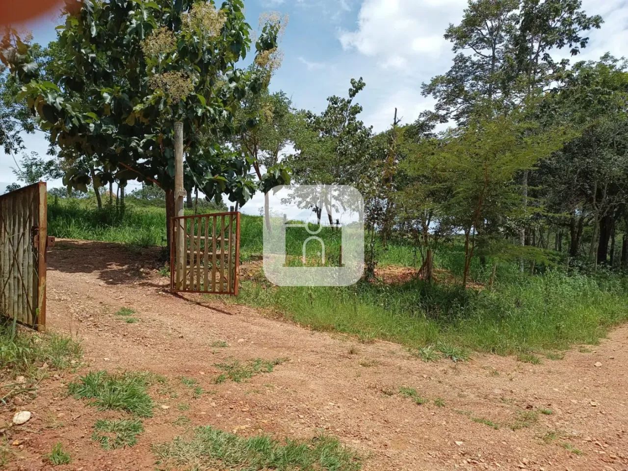Sítio para venda na cidade Araguari Minas Gerais