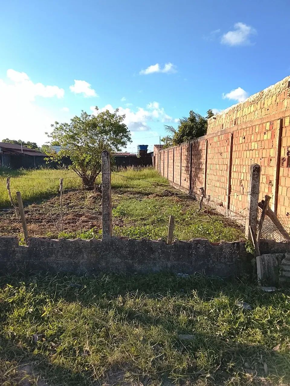 Terreno  - Foto 3