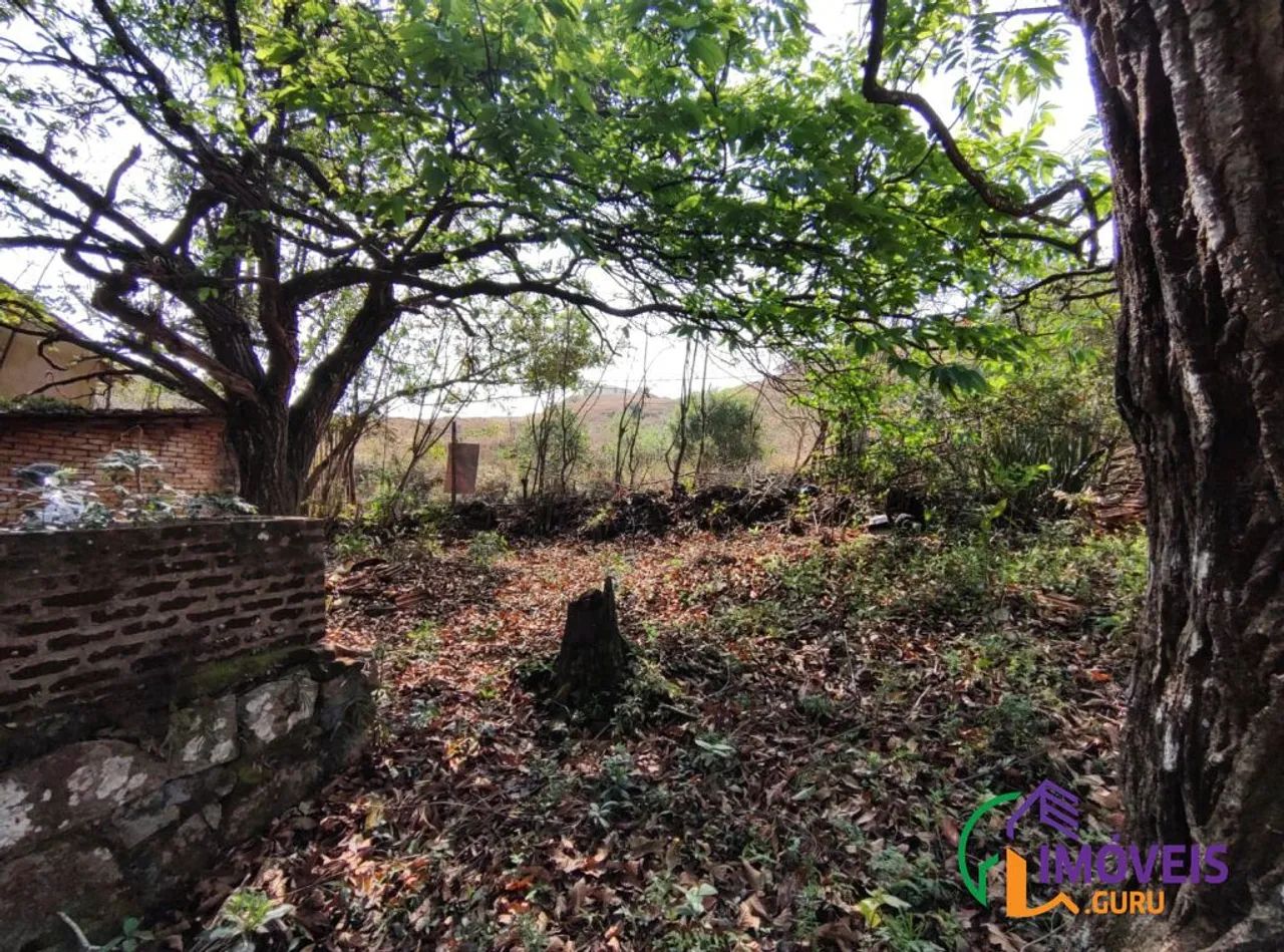 TERRENO - BIANUCCI - MG - Foto 3