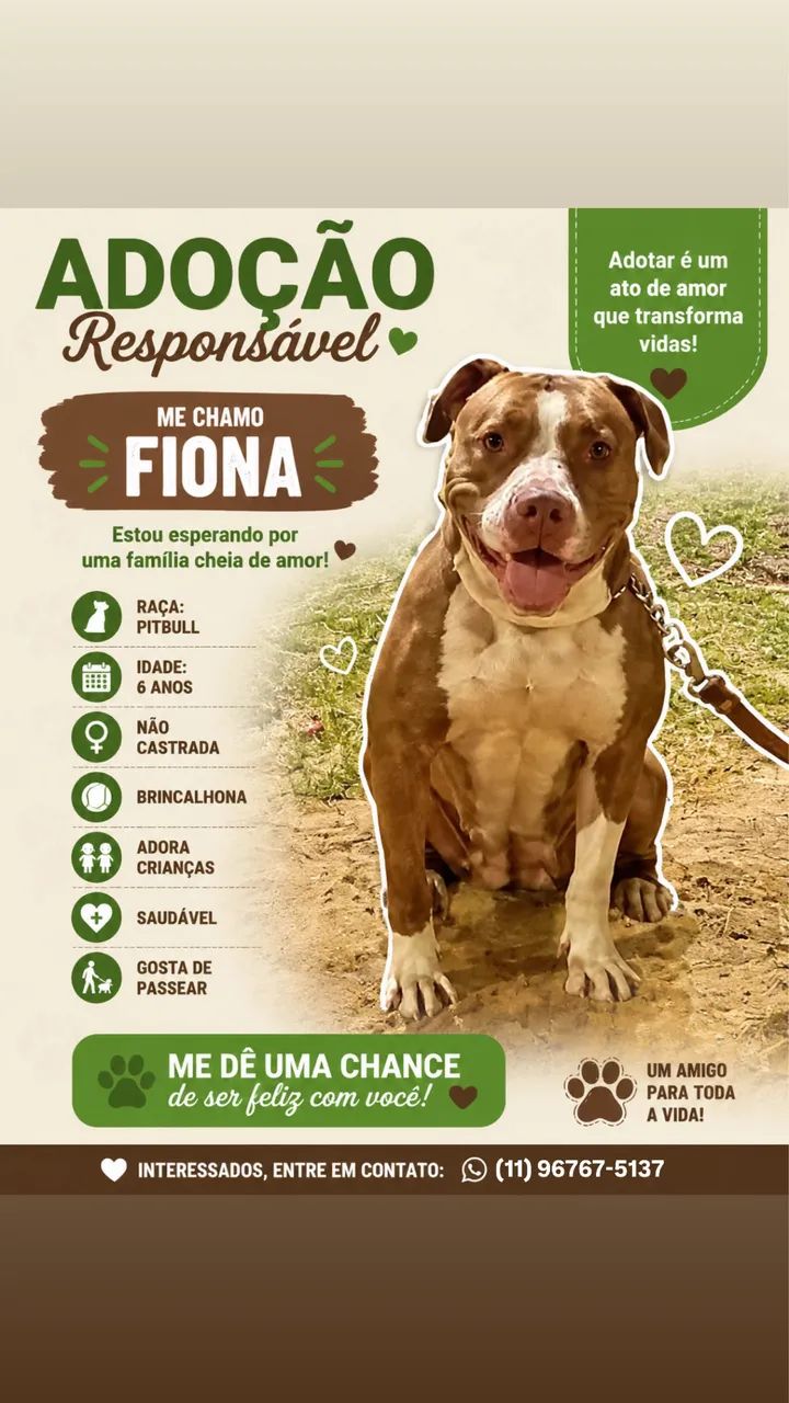 Adoação responsável 