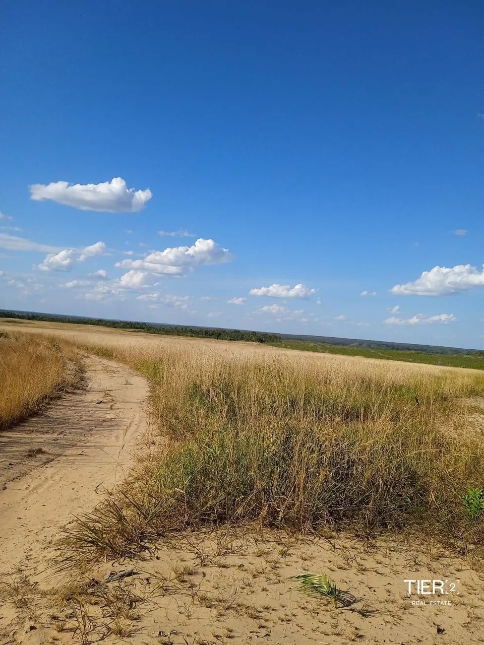 Fazenda em Novo Acordo - Foto 3