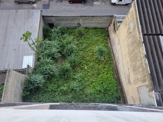Foto - Rio de Janeiro - Jardim Carioca