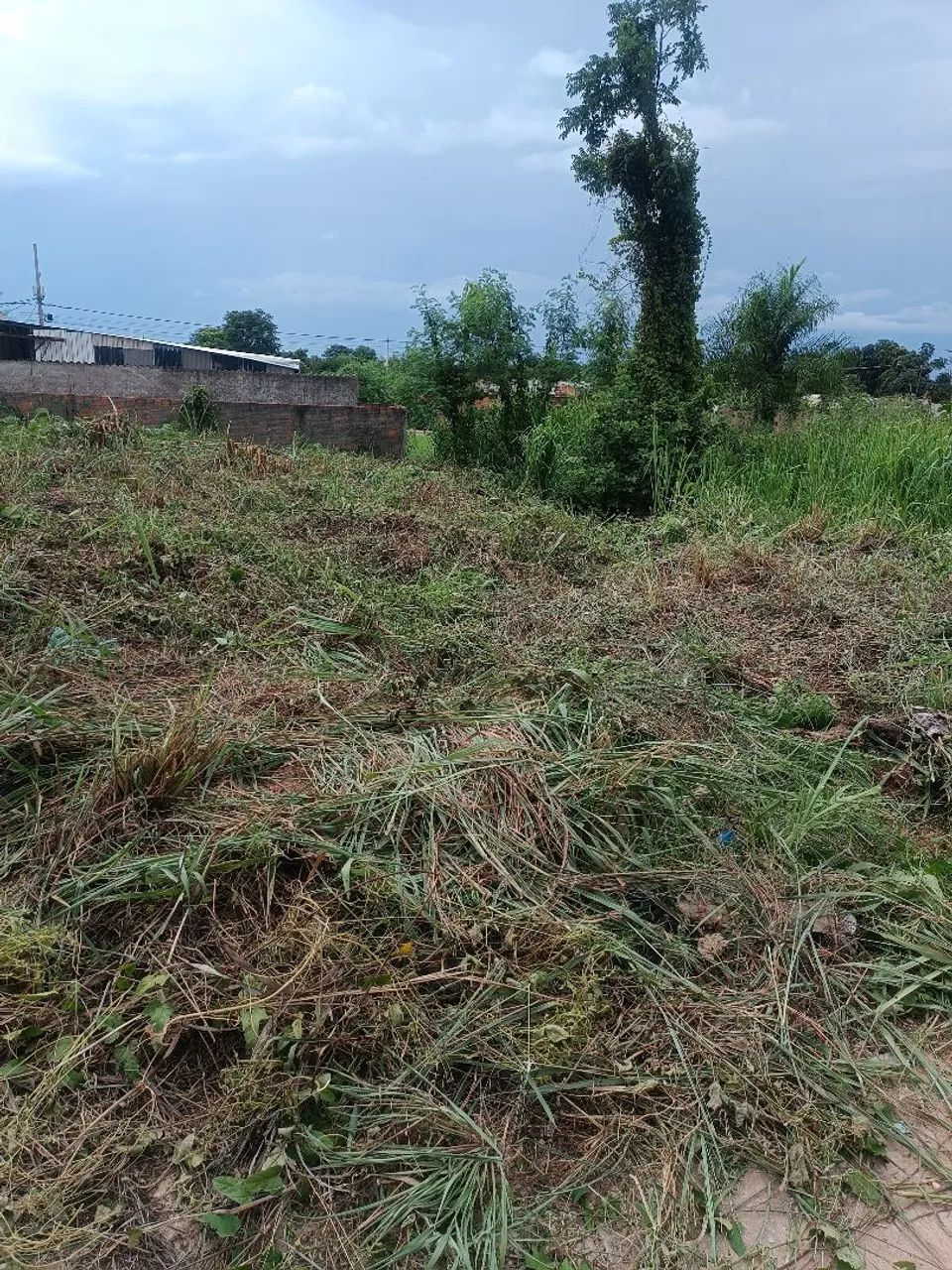 Terreno 12x25  - Foto 3