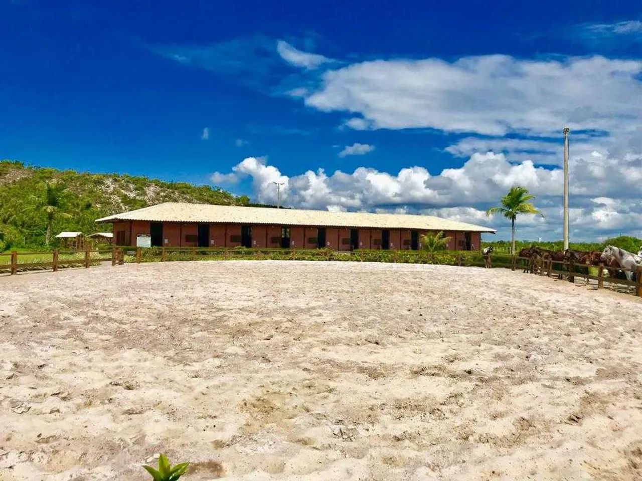 FAZENDA REAL RESIDENCE II   [3891] - Foto 5