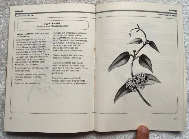 Livro - Trepadeiras e Cipós - Foto 5