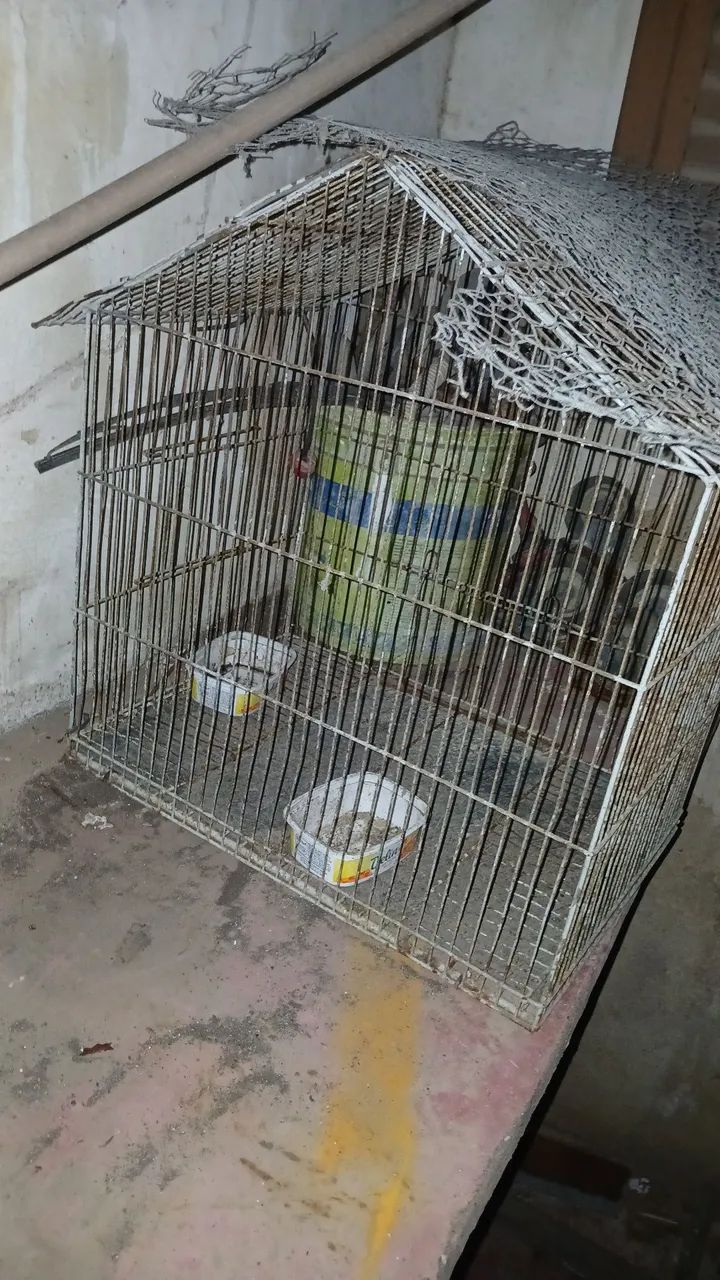 Móveis  - Foto 5