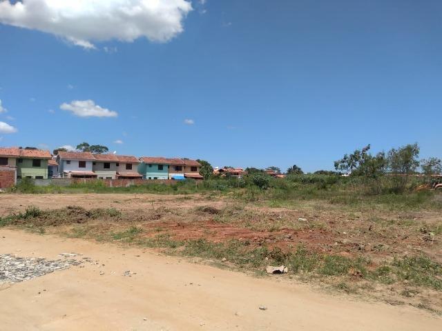 Elite 132- Terreno em Porto da Roça - Foto 4