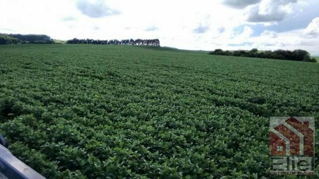 Fazenda Para Plantio de Grãos, Área Mecanizável - Foto 3