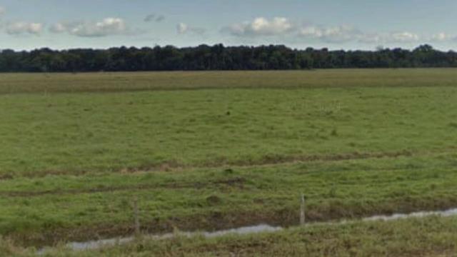 Fazenda Uma das Maiores da Região para Plantio ou Criação de Gado, Toda Plana - Foto 5